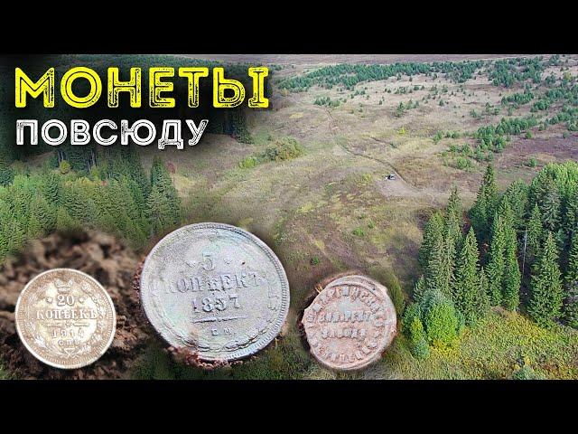 Царские монеты повсюду Семейный коп монет