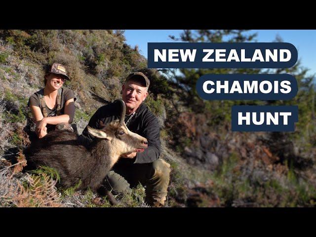 New Zealand Chamois Hunt