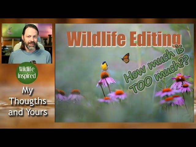 Editing in Wildlife Photography - How Much is Too Much