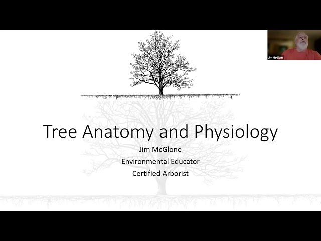 Tree Anatomy and Physiology: Tree Steward Training Sept. 12, 2023