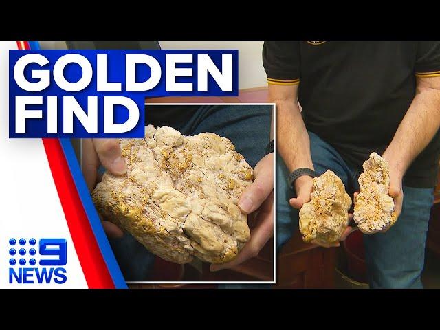 'The wife is going to be happy': $240k gold nugget found﻿ in Victoria | 9 News Australia