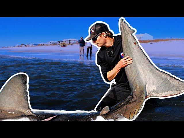 Catching a Great White Shark from the BEACH in FLORIDA!