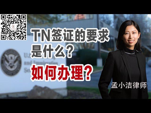 TN签证的要求什么？如何办理？