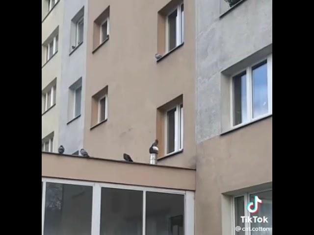 14 апреля 2023 г.