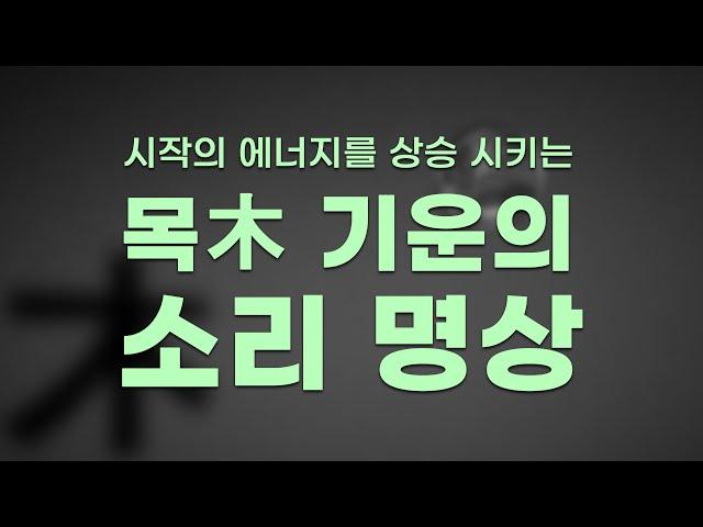 출발에 머뭇거림이 많으신분을 위한 木의 기운 명상 음악 - 팩트사주 - 백운도령 ( 제목 - 木 , 작곡 - 안현민 )