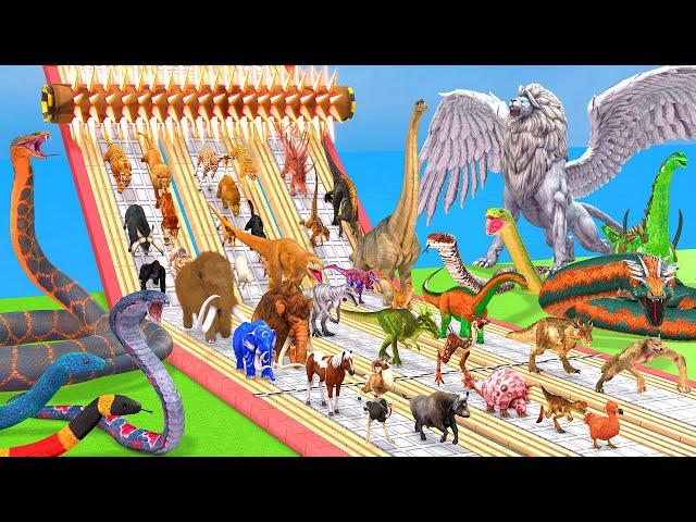 Which Animals vs Dinosaurs vs Reptiles Be Fast and Run Away from Lava Spike Roller - Animal Revolt