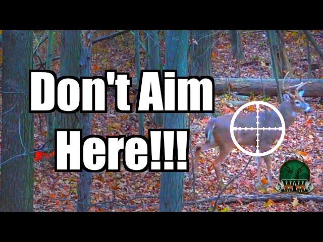 YOU'RE AIMING WRONG! Deer Shot Placement | Archery Deer Hunting Tip