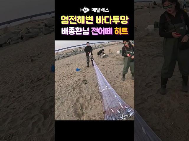 배종환 투망사님 전어투망, 한국투망협회 투망밴드 염전해변 바다투망 번개출조, 투망달인 #castnet  #fishing #playpesca