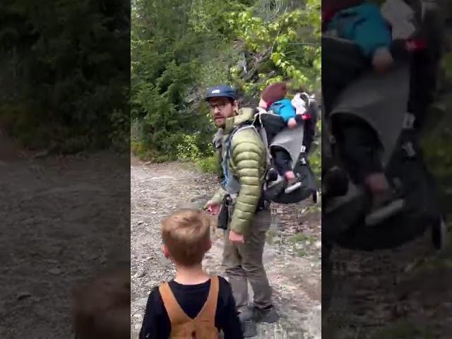 Bear Stalks Family Along Hiking Trail in Whistler, Canada