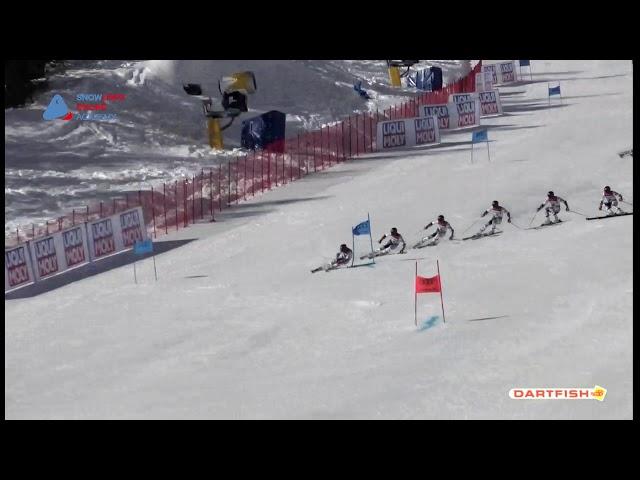 Mathieu Faivre  GS Ski Championship Cortina 2021