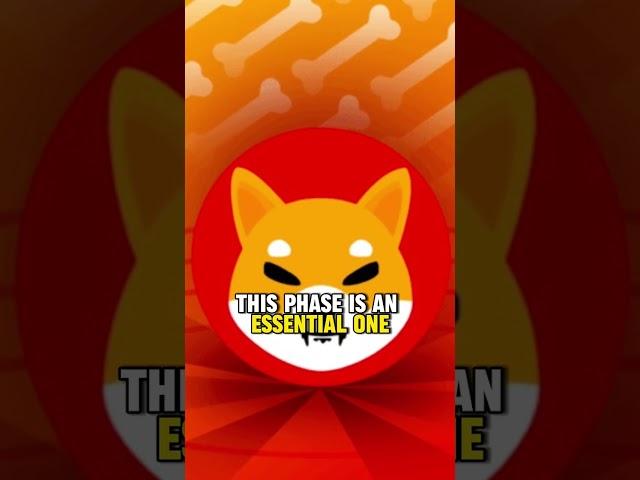 SHIBA INU NEWS!!! BONE TOKEN CONTRACT RENOUNCED