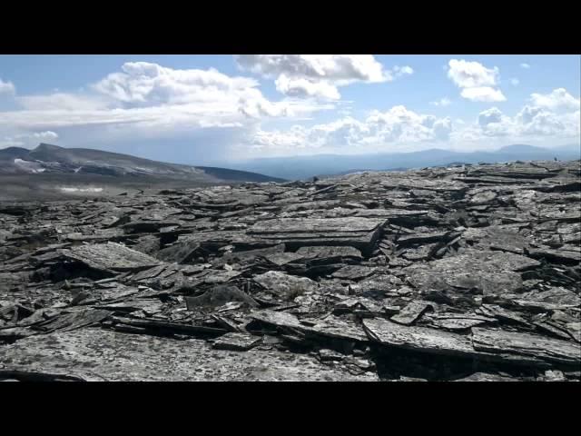 Gråhø, Høvringen, august 2011