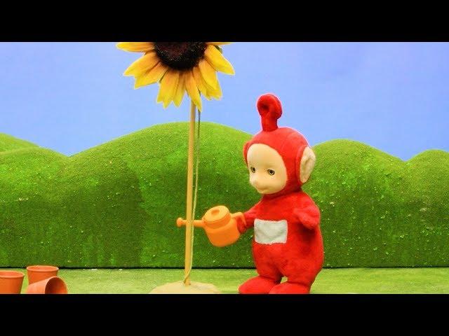 Teletubbies Türkçe | Müzik Enstrümanları | Yeni Sezon | Çocuklar için Çizgi Filmler