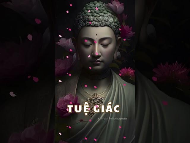 TUỆ GIÁC : Ngọn đèn soi đường nhân sinh, khai mở tiềm năng vô hạn