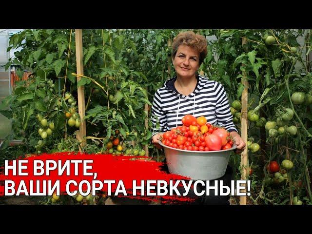 Не врите, ваши сорта не вкусные! | Как вырастить сладкие томаты