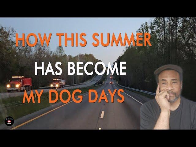 How This Summer Has Become My Dog Days | Cargo Van Ownership