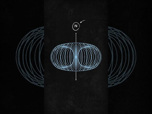 The Pisces-Torus Connection