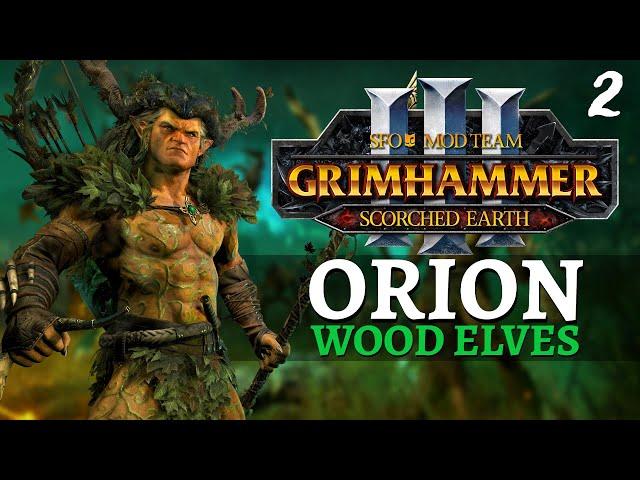 HORN OF THE WILD  | SFO Immortal Empires - Total War: Warhammer 3 - Wood Elves - Orion #2