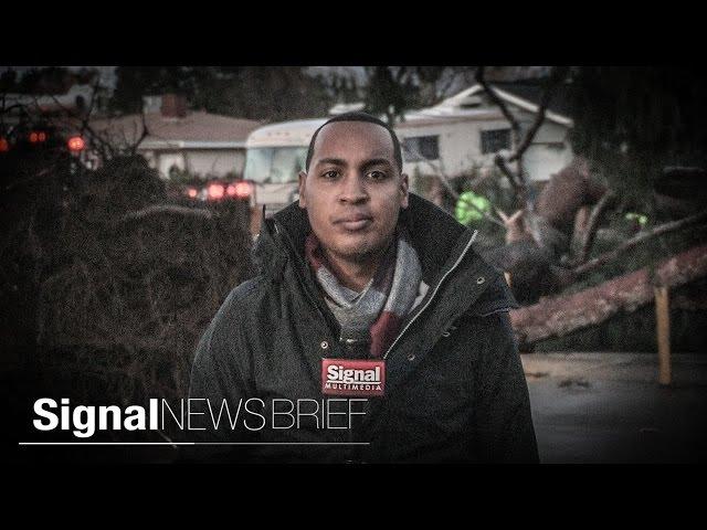 Signal News Brief: Feb 1, 2016