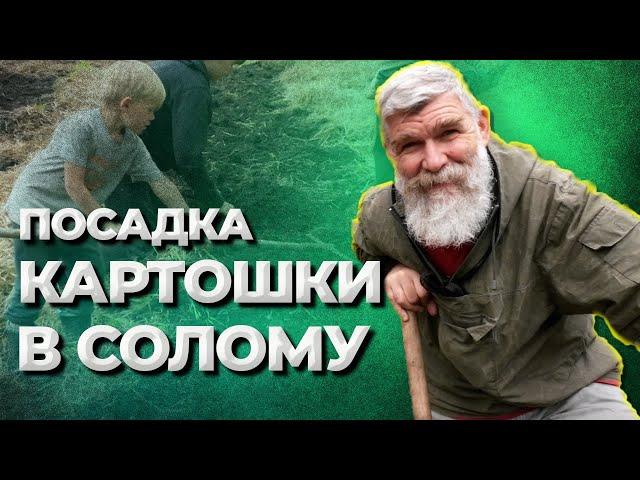 Ошибки соломенного земледелия//Живая Баня Иван Бояринцев