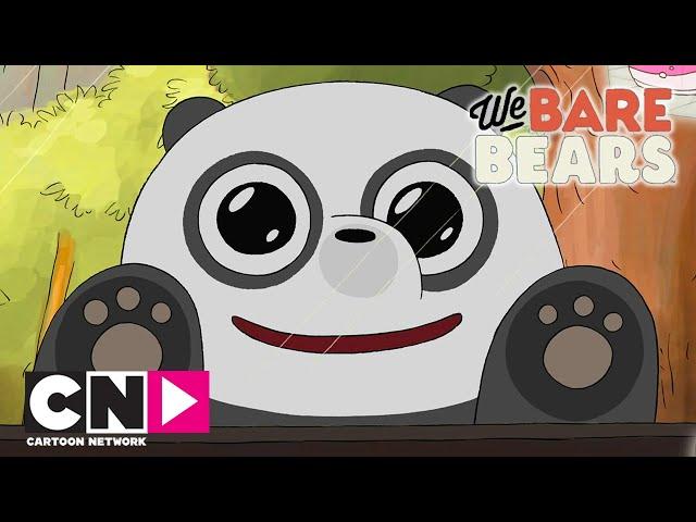 Вся правда о медведях | Песня лучших друзей | Cartoon Network