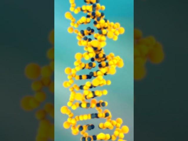 How did life begin?    #wonderwhy
