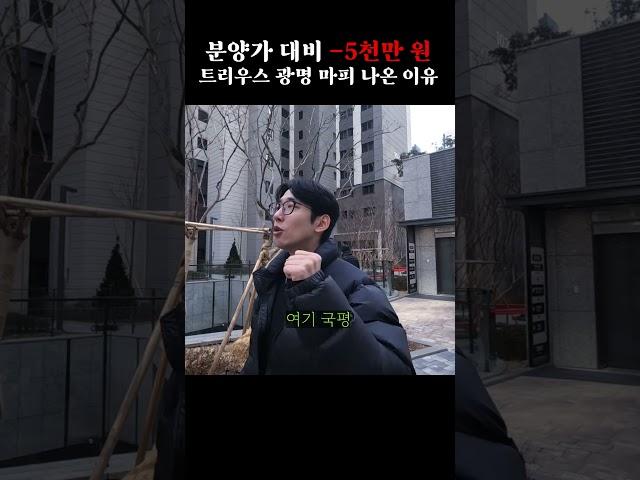 마피 안 나오기가 힘들다 사실 #트리우스광명