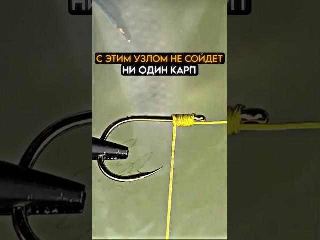 с этим узлом у вас не уйдет ни один карп #fishing #карась #рыбалка