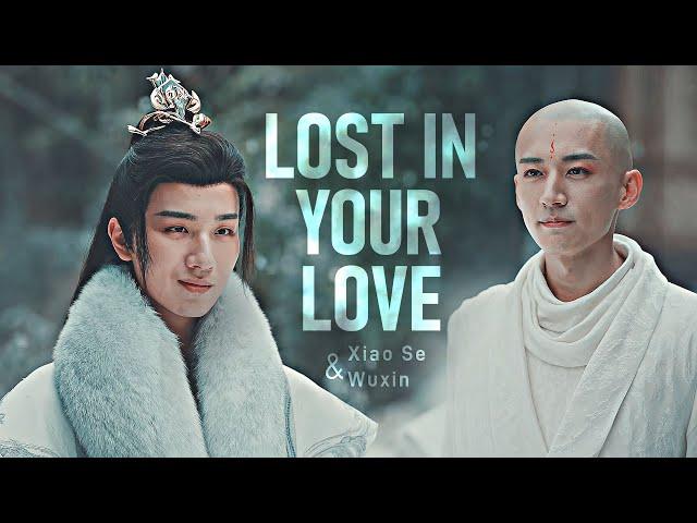 ►Xiao Se & Wuxin | Lost in your love