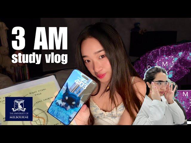 3AM STUDY VLOG: Life as an Academic Weapon 