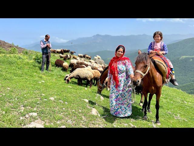 Nomad Expedition: Sheep's Journey To The Untamed And Lush Mountains