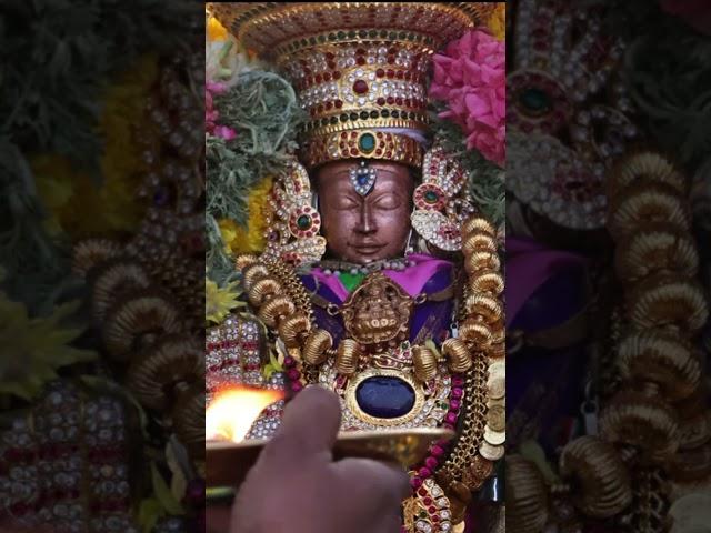Sri Pataladhri Narasimhar temple, Chengalpattu|Singaperumal koil|Sri Ahobila Valli Thayar #shorts