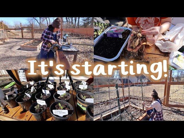 Building More Garden Boxes & Potting Up My Seedlings! | garden vlog