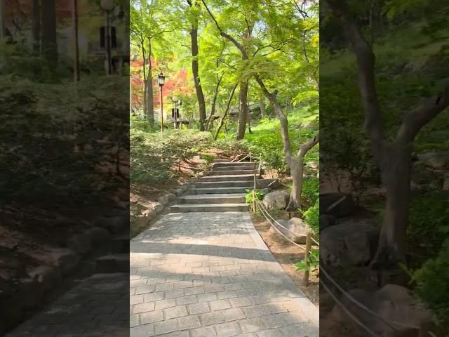 녹지원- 청와대