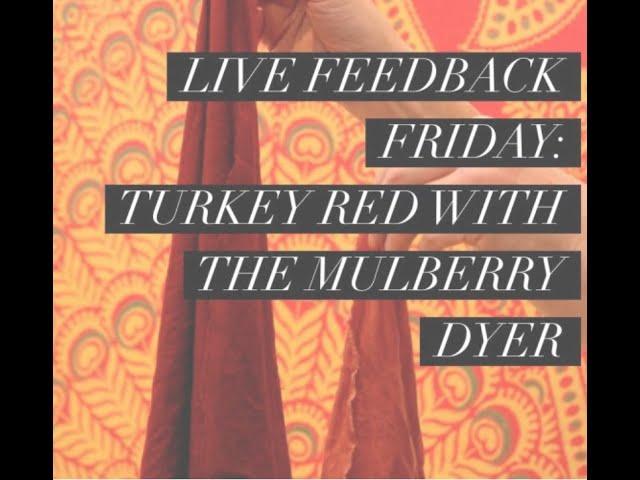 Feedback Friday: The Mulberry Dyer Debbie Bamford