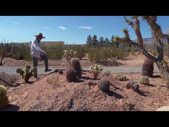 Sustainability Heroes: How 'Cactus Joe' cultivates desert-adaptive plant species at his nursery