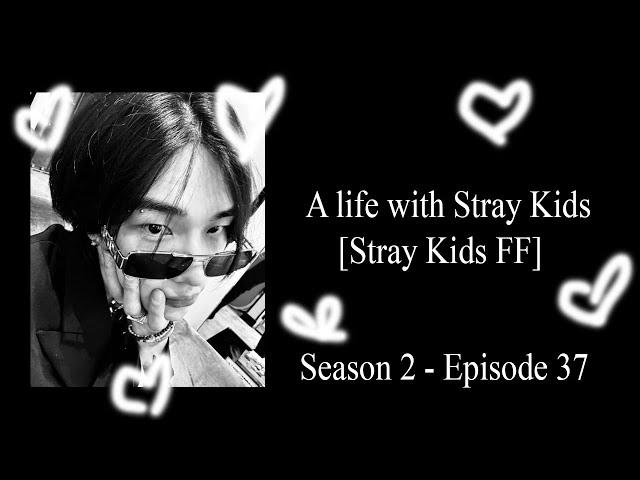 [Who is the girl who texted you?] | A Life With Stray Kids [Stray Kids FF] [Season 2 Ep.37]