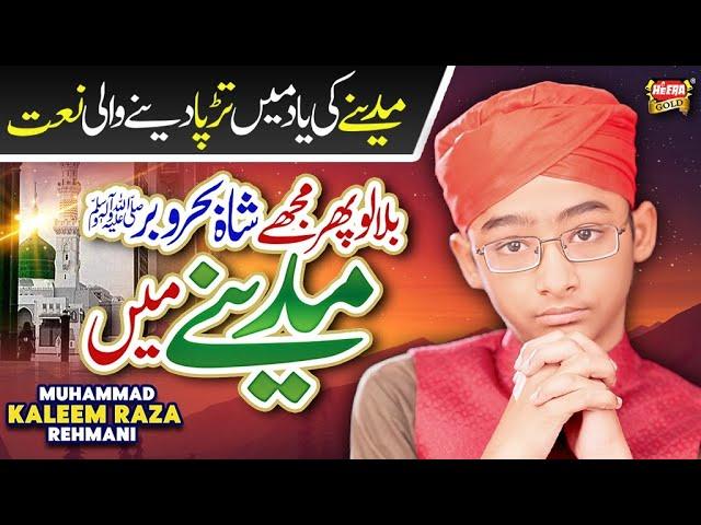 Muhammad Kaleem Raza Rehmani || Bulalo Phir Mujhe Aye Shah e Behrobar || Heart Touching Kalam