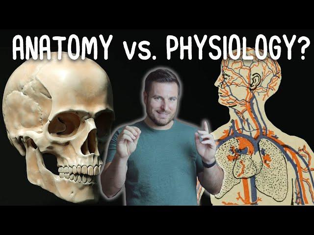 What's the Difference Between Anatomy and Physiology? | Corporis