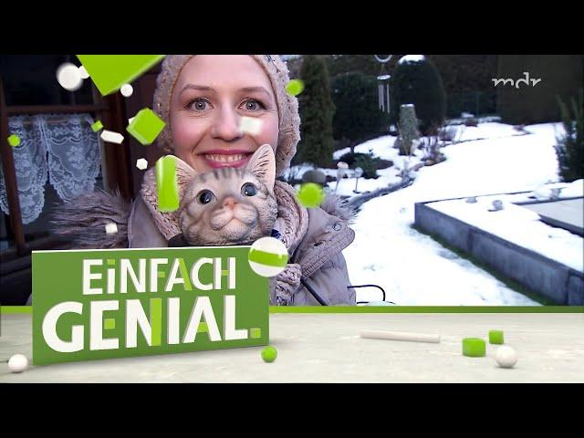 Praktische Erfindungen für Katzen und Hunde | Einfach genial | MDR