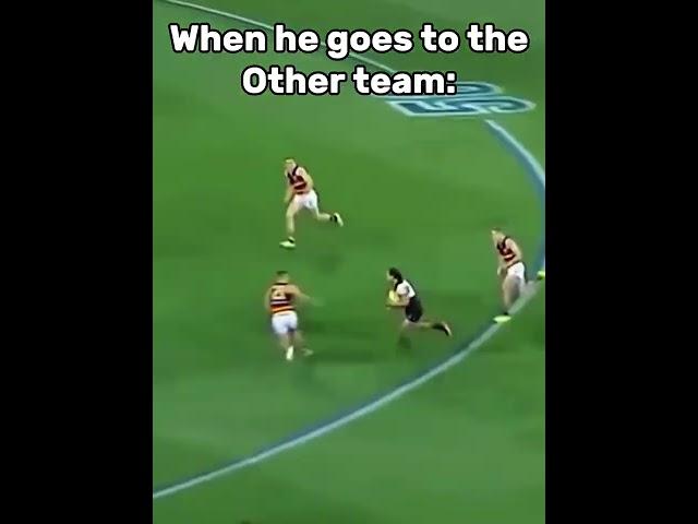 Afl pov edit 