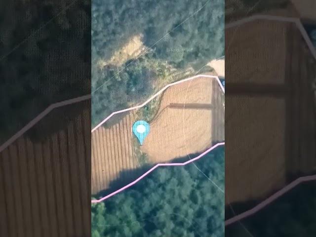 89번) 나만의공간 반값토지 봉화토지  010 3809 0318 총917평당 6만원 반값토지 경북봉화 #뉴스 #정치 #대통령