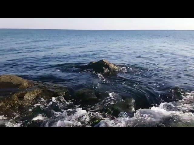 Ləman Əliyeva- NECƏSƏN, ZALIM? şeiri