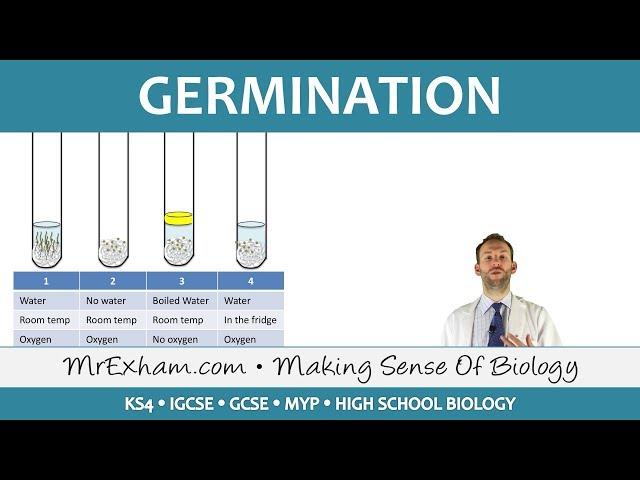 Plant reproduction - Germination - GCSE Biology (9-1)