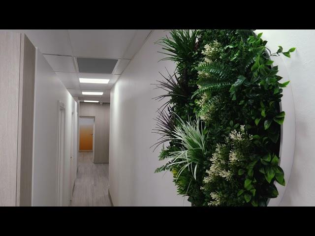 Artificial Plants Installed at a Salon and Nail Shop Brazilian Butterfly Super Quickly & Affordably