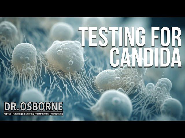 How To Test For Candida