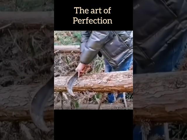 fast and also perfect | the masters of their work #entertainment #shorts