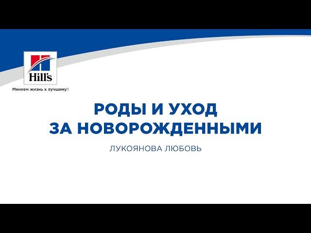 Вебинар на тему: “Роды, родовспоможение и уход за новорожденными”. Лектор - Любовь Лукоянова.