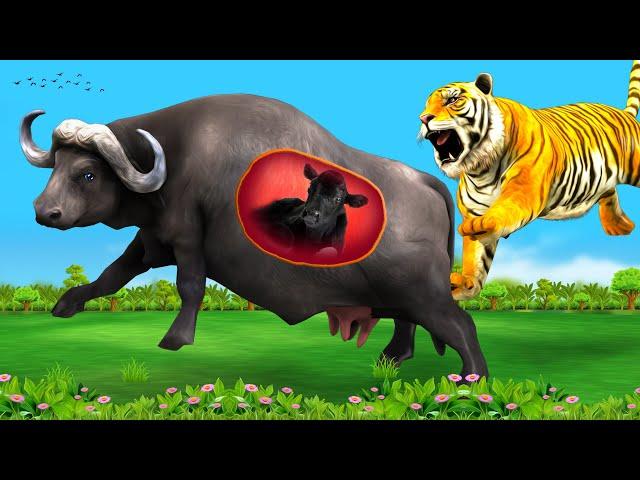 गर्भवती भैंस का बच्चा और बाघ का हमला Pregnant Buffalo and Tiger Attack  Story - Hindi Kahaniya