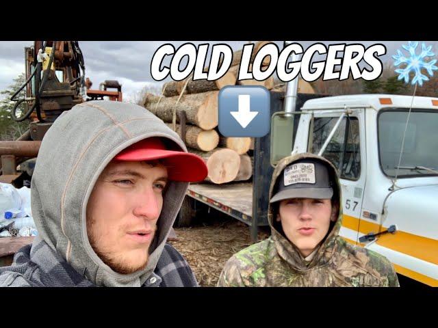 WE ARE LOGGING  AND ITS COLD!